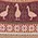 Follow Mother Goose Fair Isle Short Sleeve Sweater
